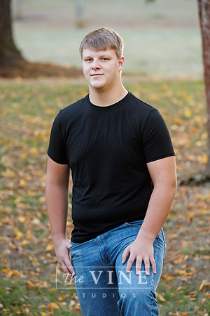 Dillon -3