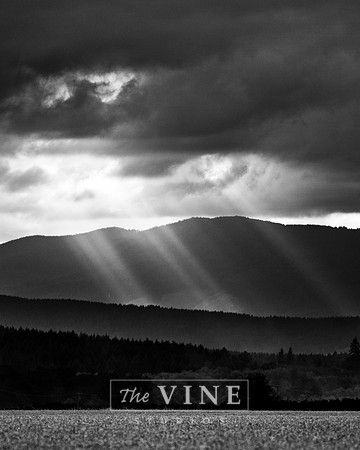 Psalm 119:130, Willamette Valley, Oregon