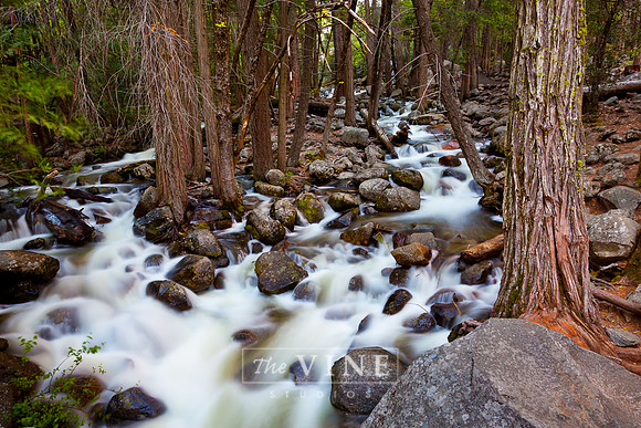 Beneath the Bridalveil, Yosemite Valley, California